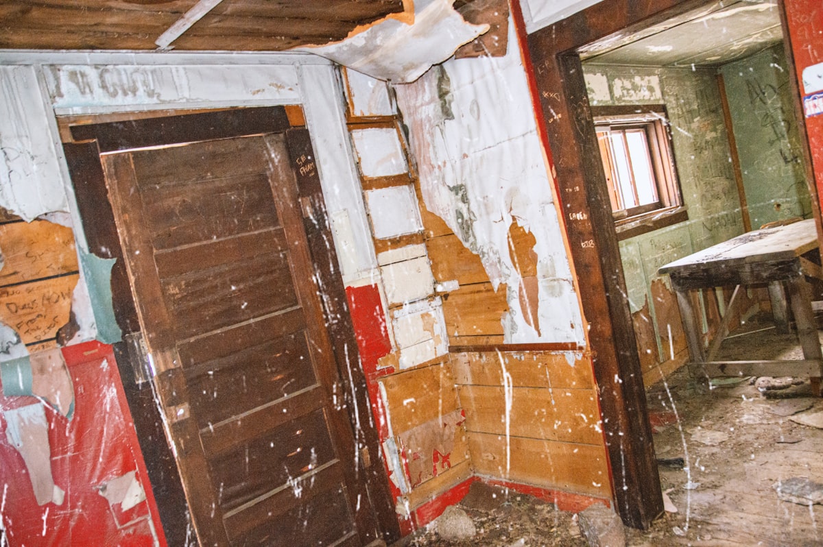 Mold Remediation service in Jonesboro, AR